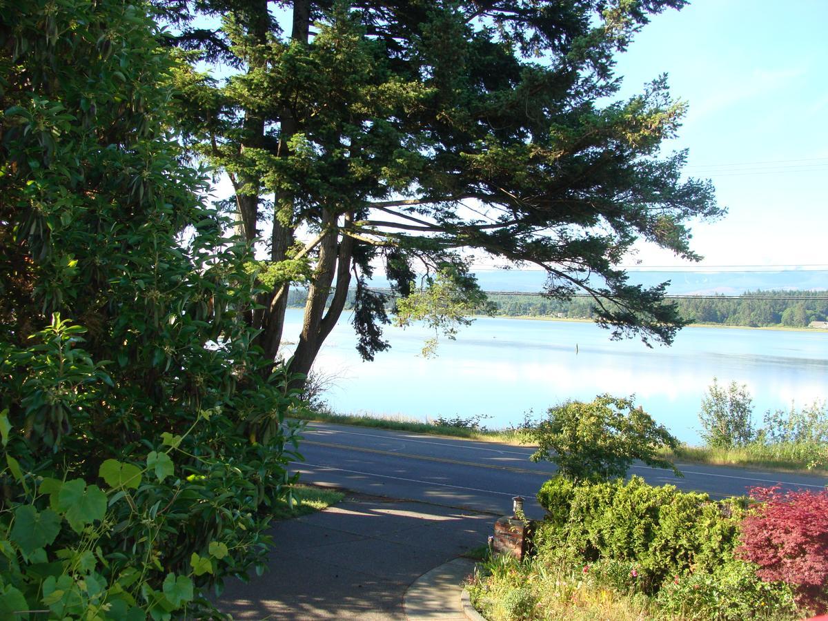 Estuary House Reflexology B&B Courtenay Exterior photo